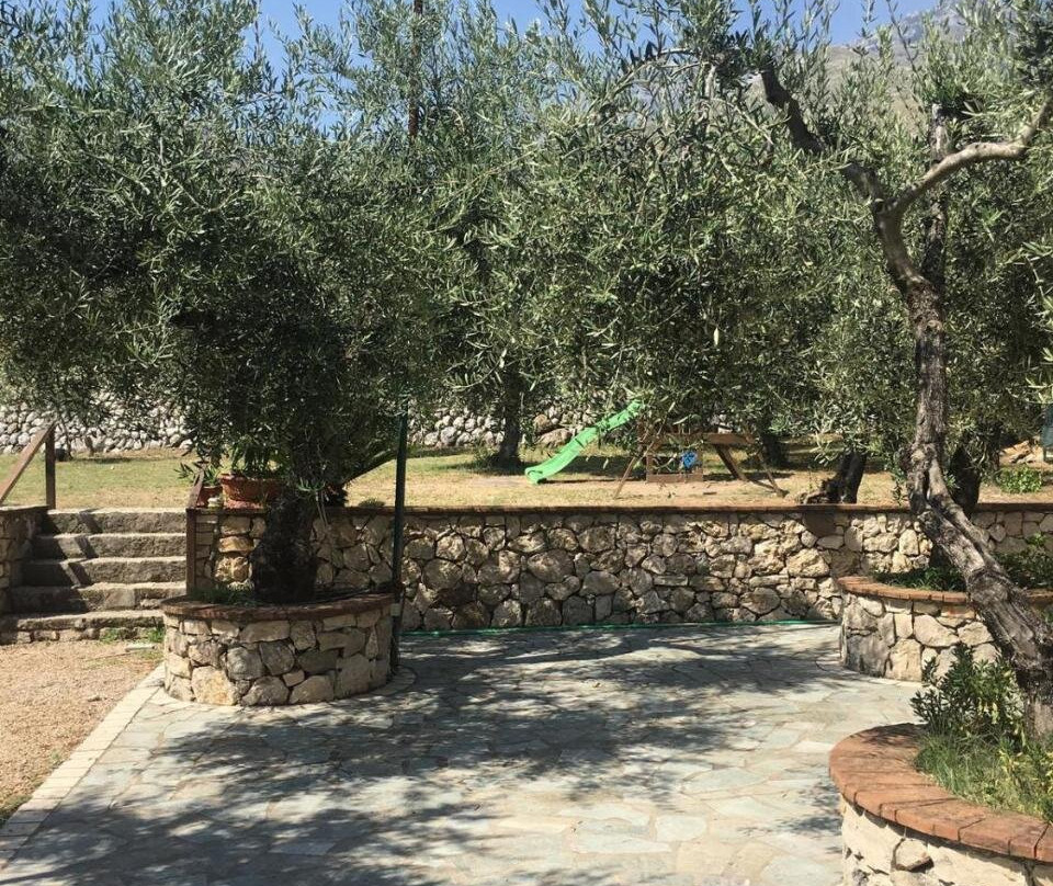 L'Ulivo
