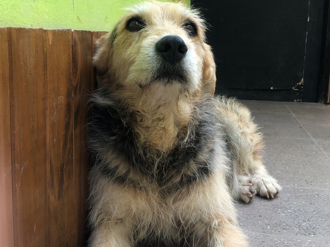 Tilcara Hostel主图