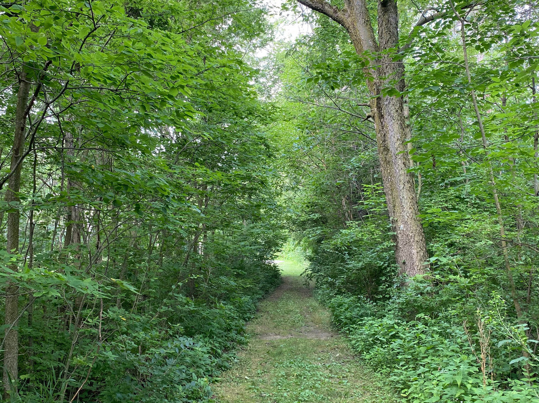 Harrison Lake State Park-Fayette必去景点