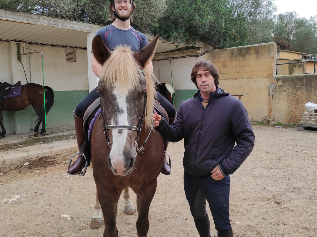 Son Menut Finca主图