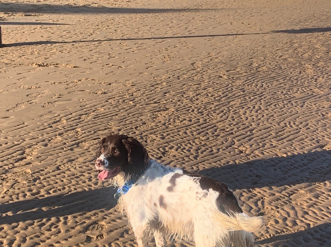Old Hunstanton Beach景点图片