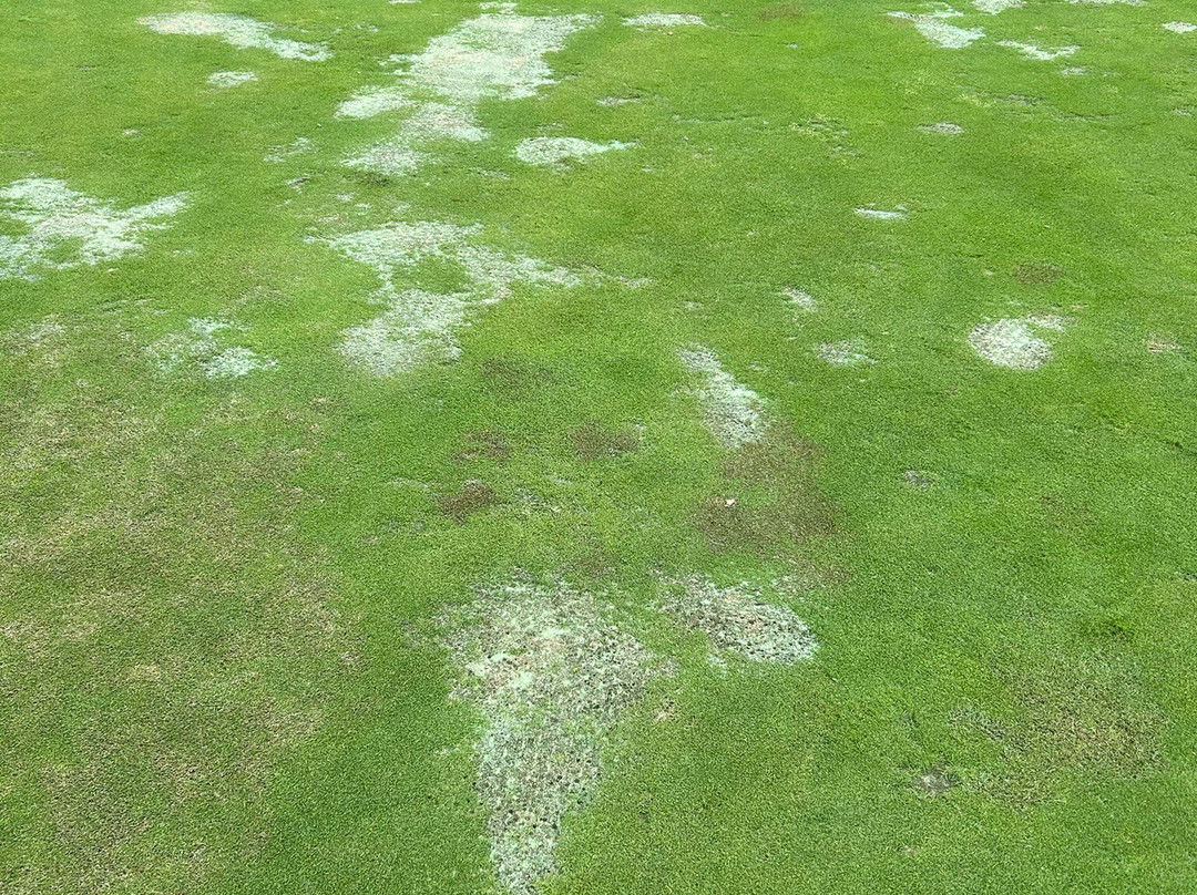 Los Arqueros Golf & Country Club景点图片