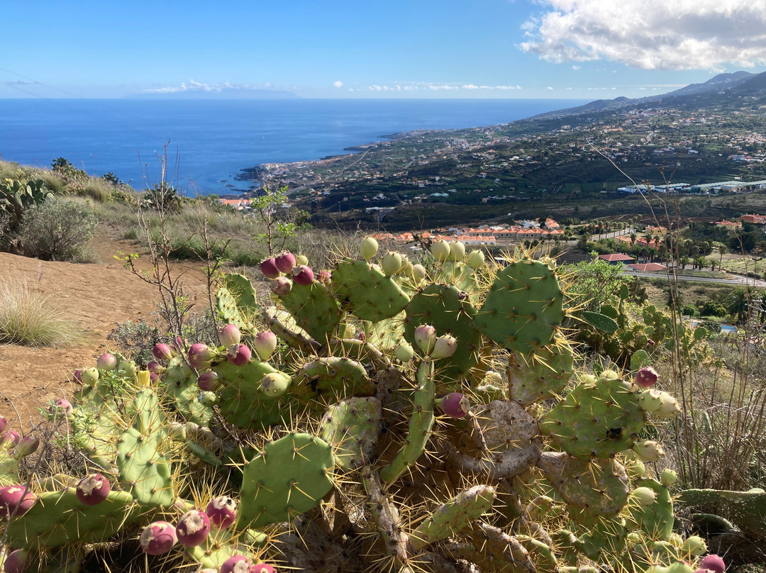 Mirador de la Concepcion-Brena Alta必去景点