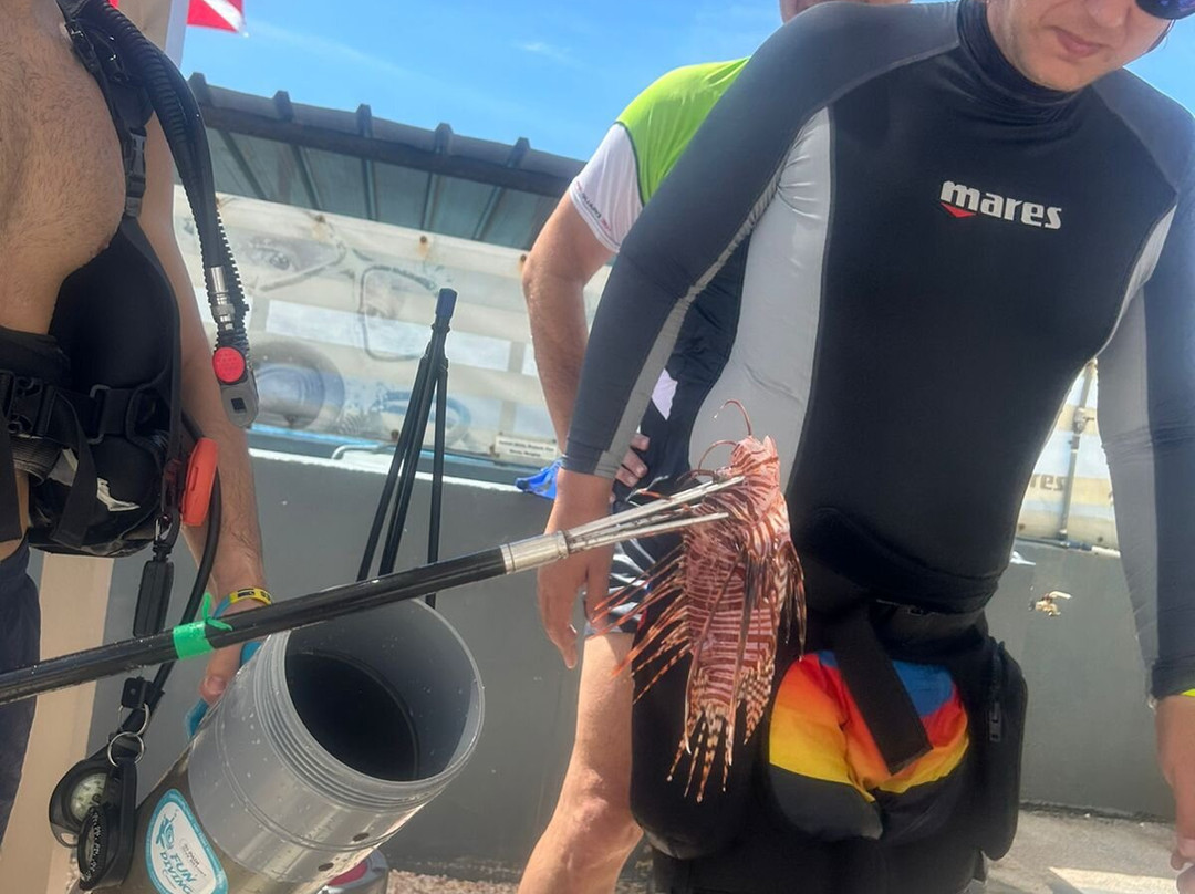 Fundiving Curacao-威廉斯塔德必去景点