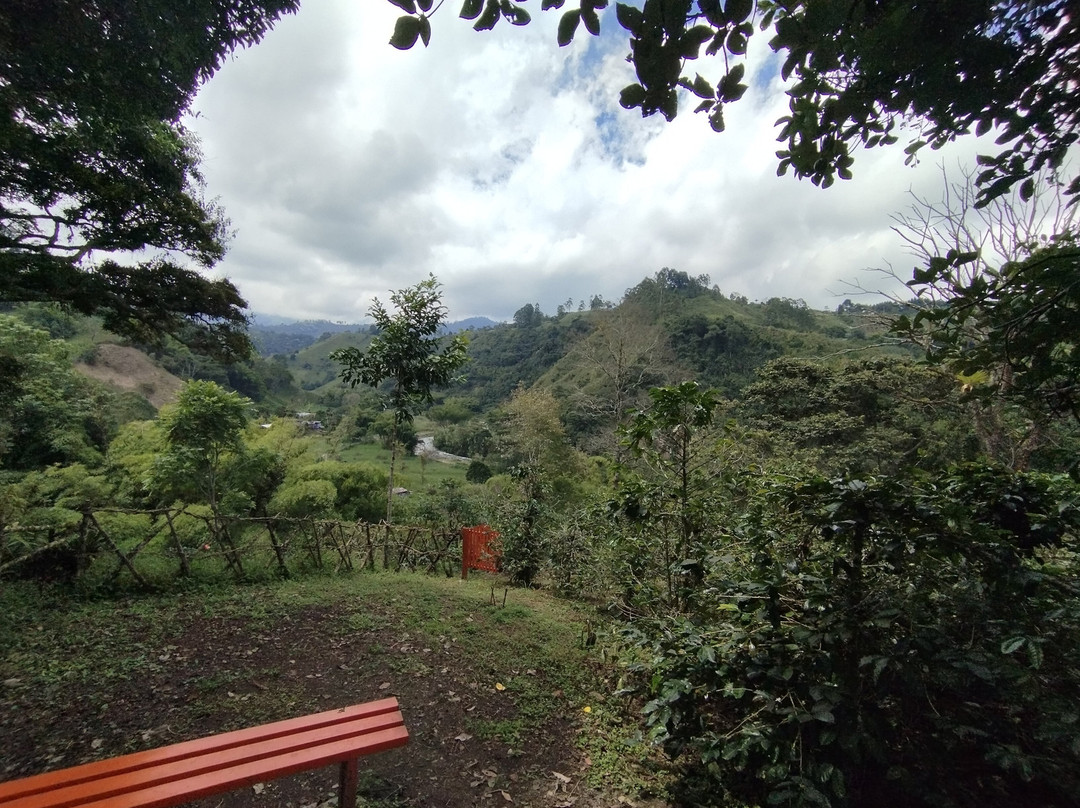 El Recuerdo Finca Cafetera Tradicional-萨伦托必去景点