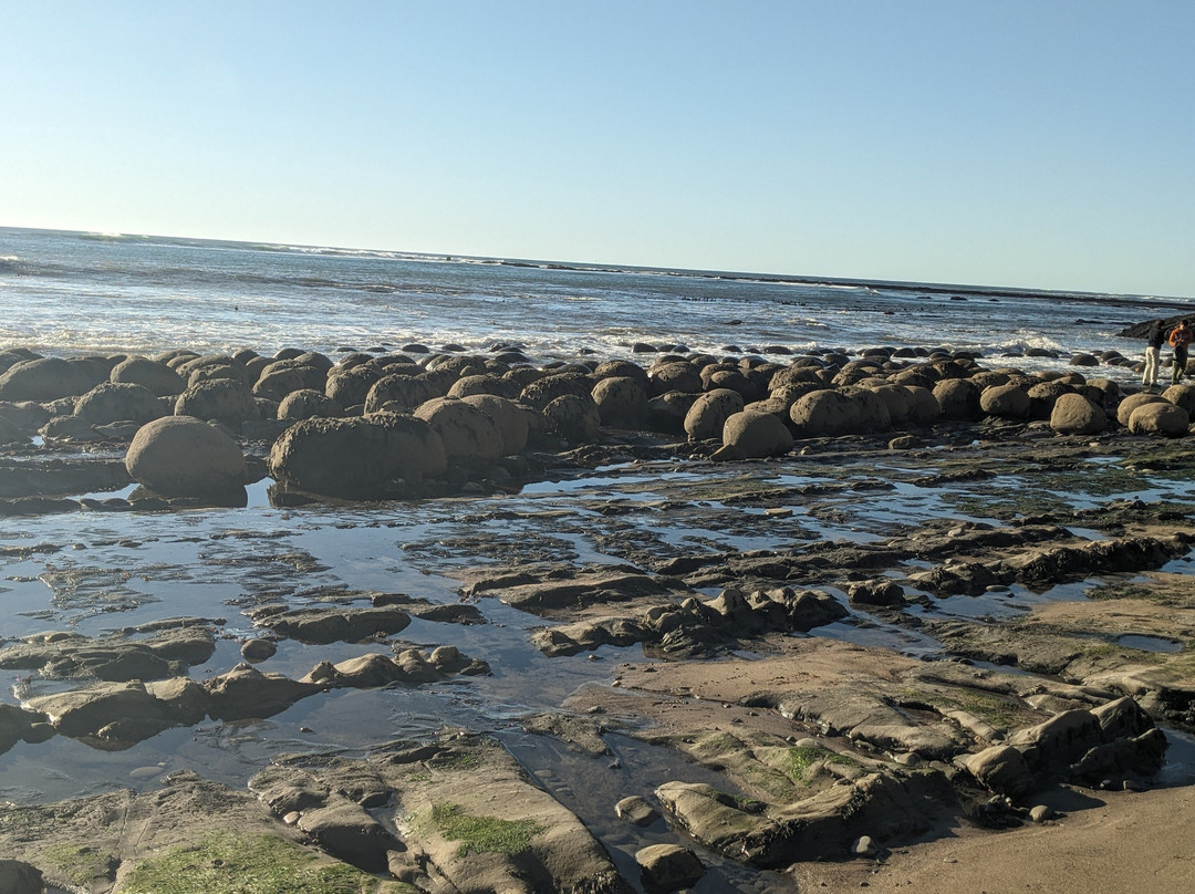 Schooner Gulch State Beach景点图片