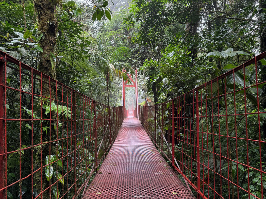 JC Nature Tour-蒙特维多云雾森林自然保护区必去景点