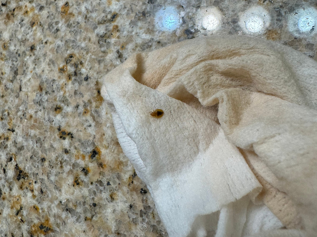 Best Western University Inn主图