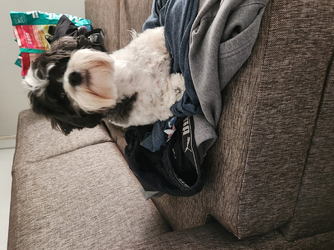 Hampton Inn Atlanta/Newnan主图