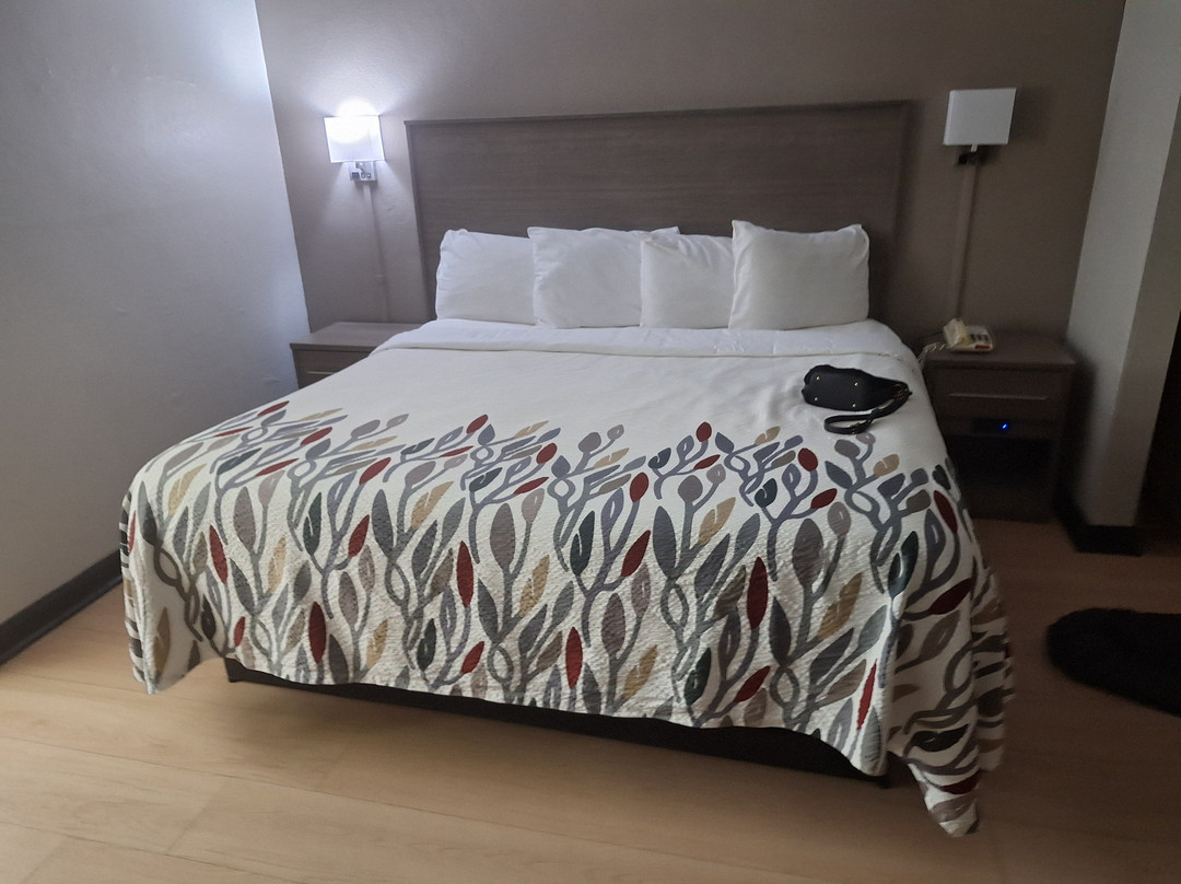 Red Roof Inn & Suites Jackson, TN主图