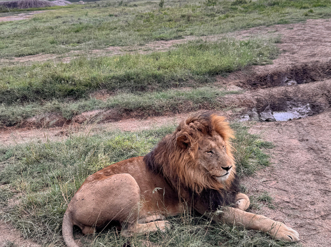 Sote Tours & Travel-莫西必去景点