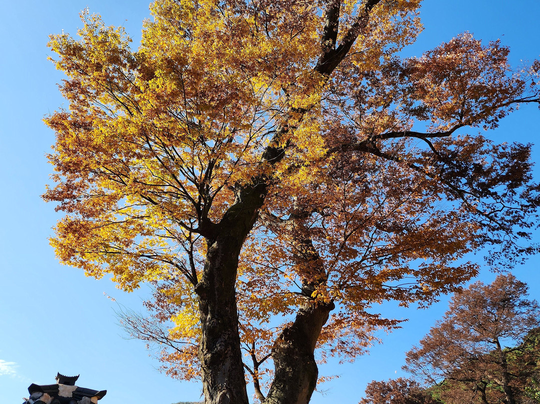 Namhansanseong Provincial Park-光州市必去景点