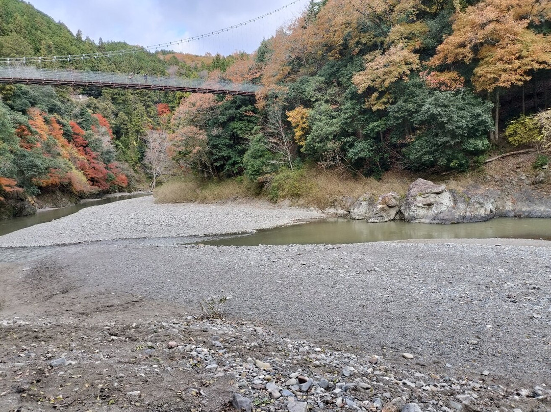Tara Canyon-大垣市必去景点
