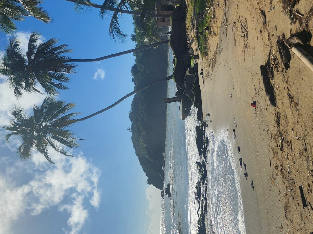 帕拉多帕尔马斯露西亚主图