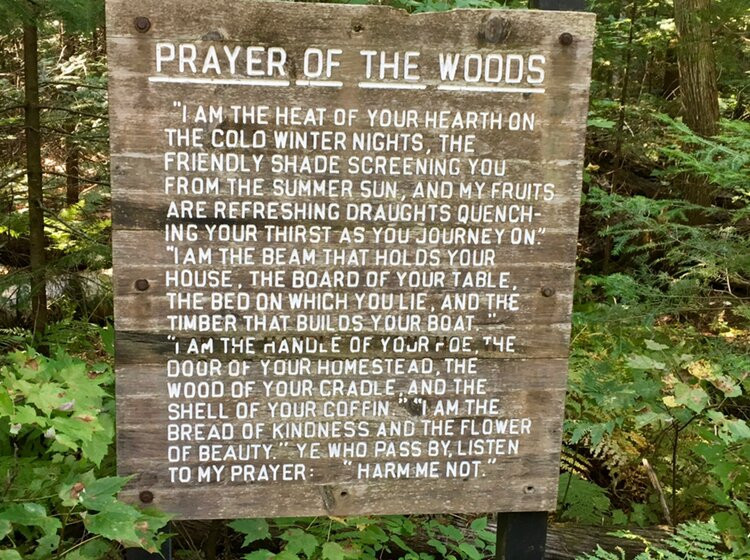 Brown County State Park-纳什维尔必去景点