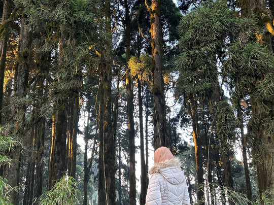 Travelers Of Sylhet-锡尔赫特必去景点