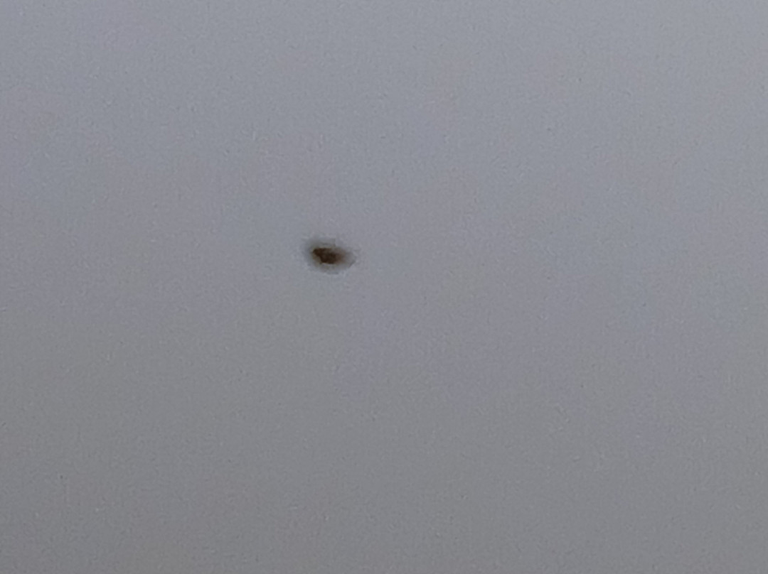 钟楼南特中央圣雅克酒店主图