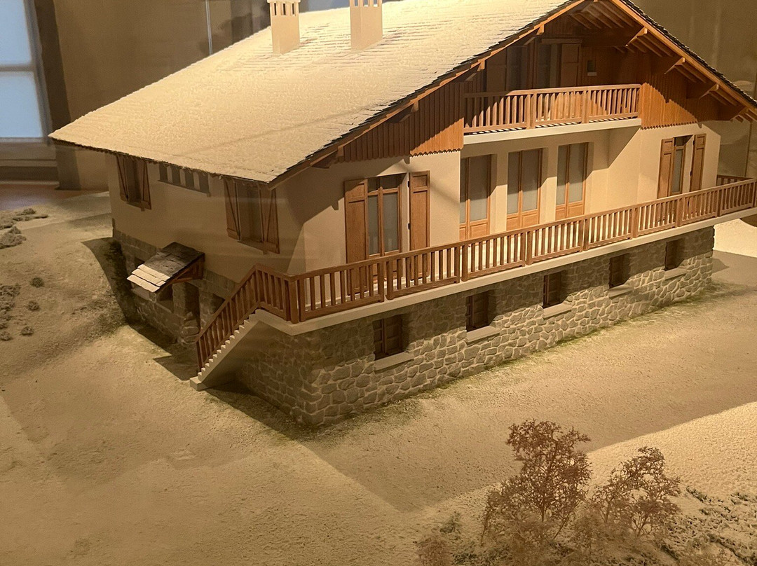 Musée Savoisien景点图片