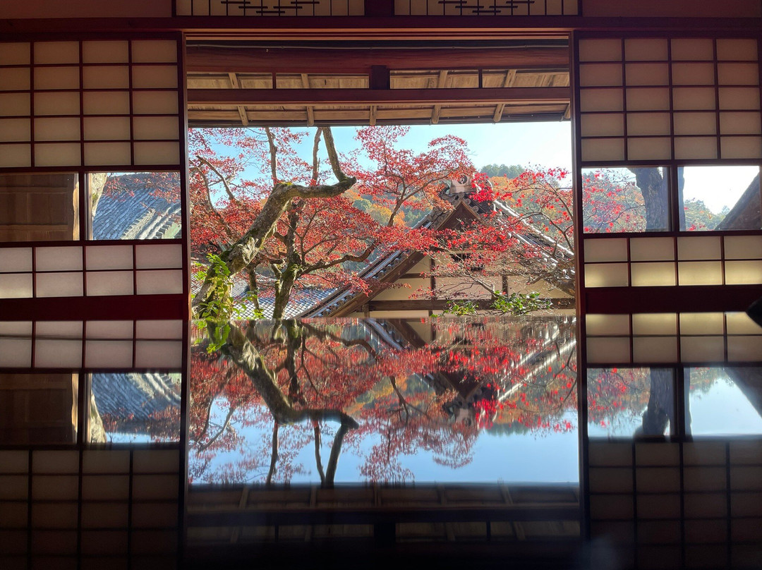Yokokuji Temple-长冈京市必去景点