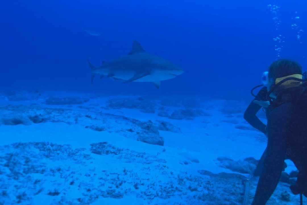 Diverz Den Tulum-图伦必去景点