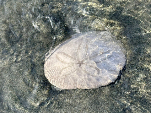 考克斯湾海滩度假酒店主图