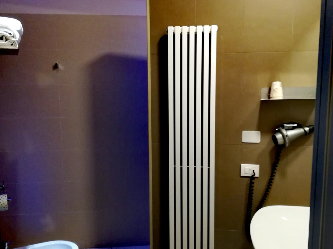 皮内塔酒店主图