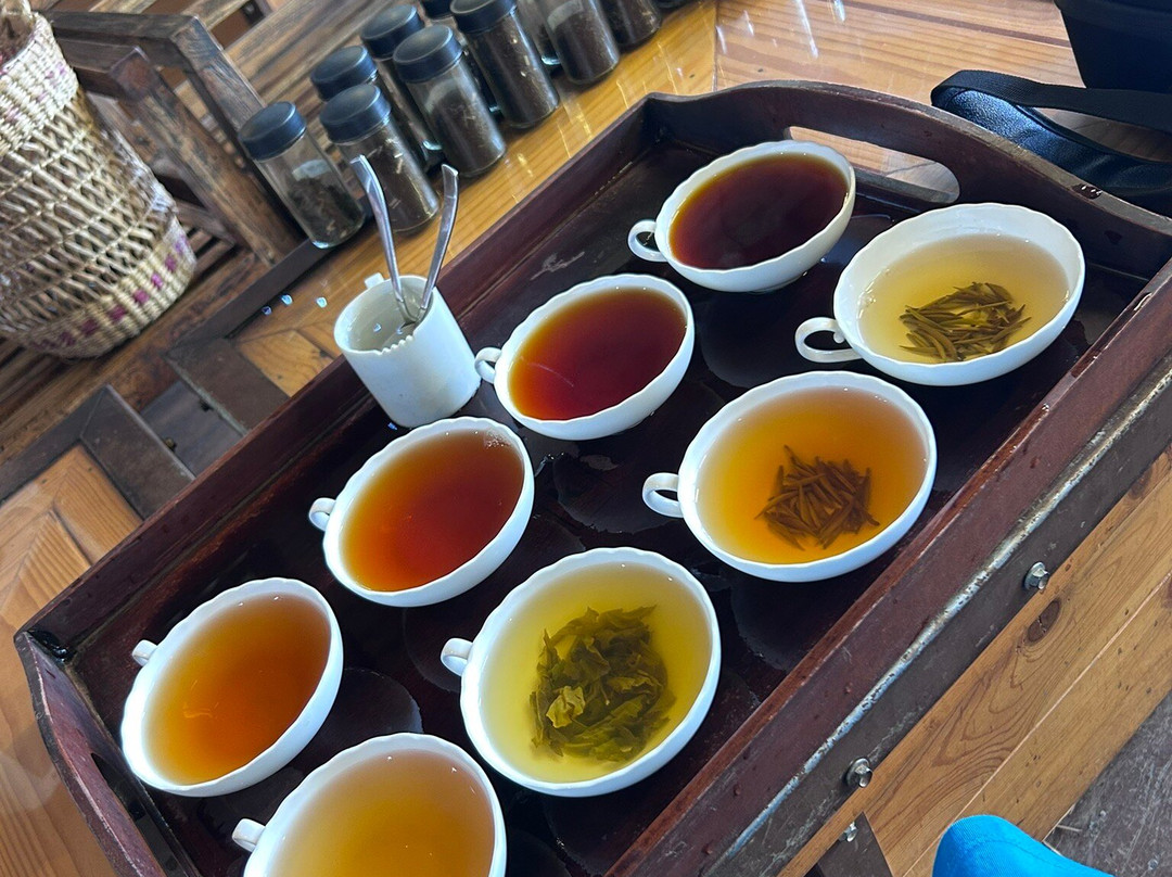 Milan M. Personal Driver Service Sri Lanka-锡吉里亚必去景点