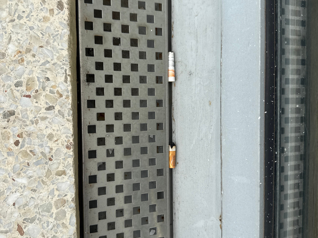 Hotel Humboldt主图