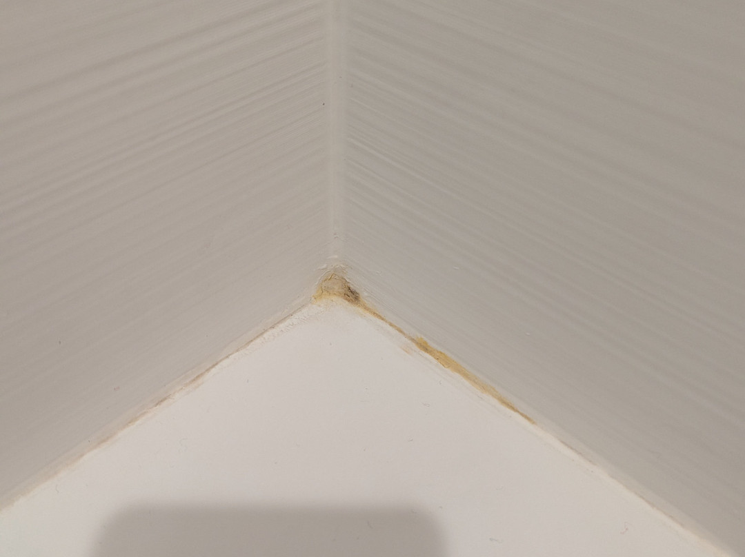 Home2 Suites By Hilton Brandon Tampa主图