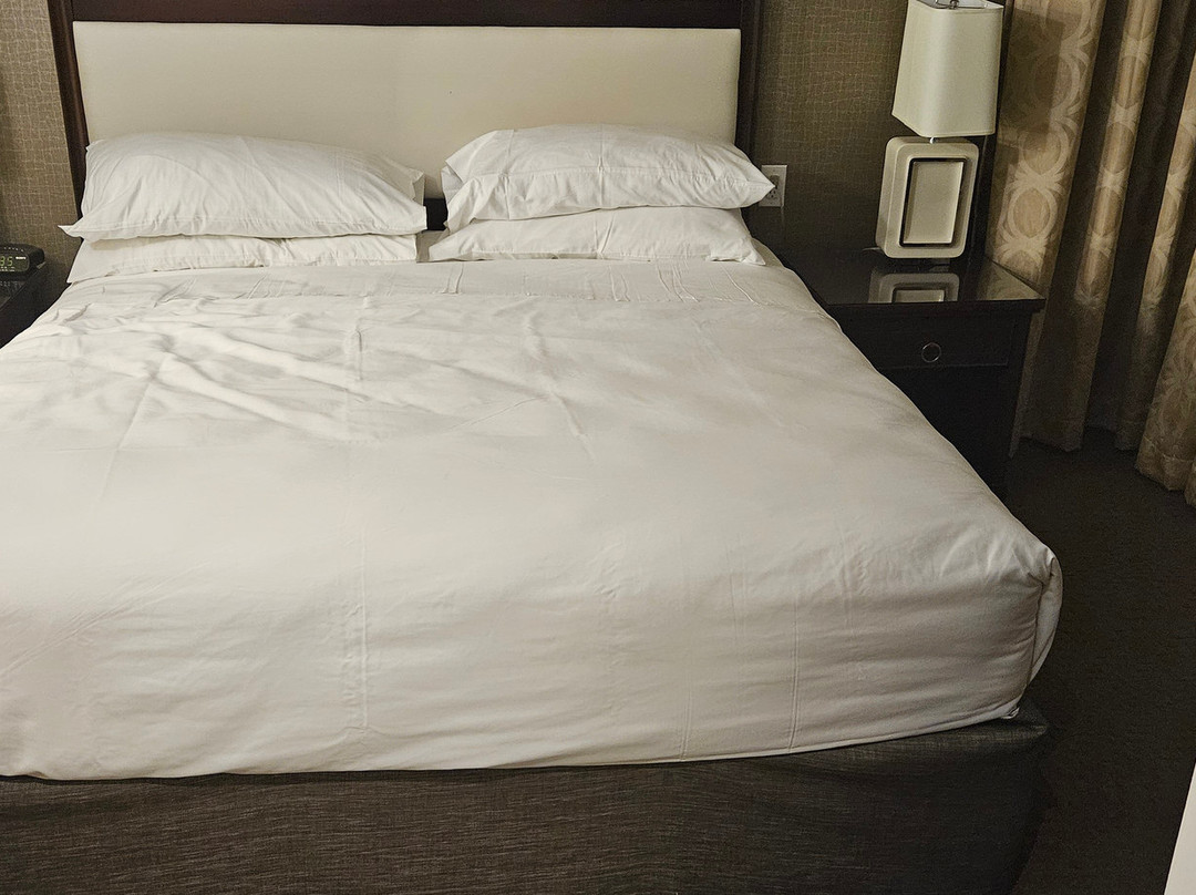 喜来登北多伦多公园大道酒店主图