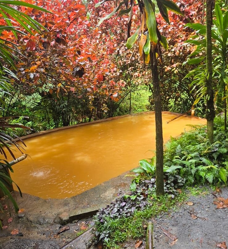 Ti Kwen Glo Cho Hot Springs-多米尼克必去景点