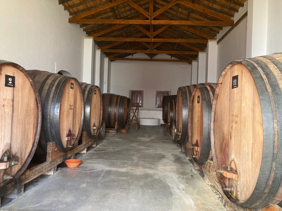 Herdade Do Mouchao景点图片