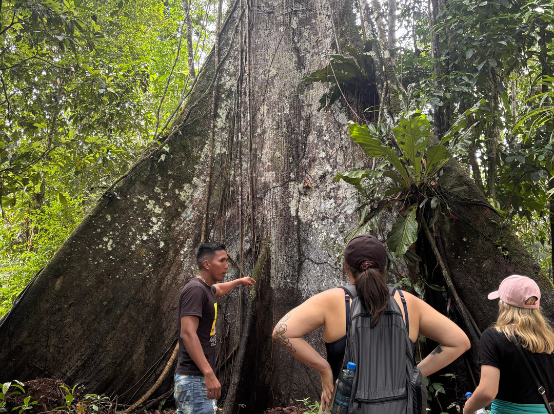 Amaselva Tours - Colombia Amazon景点图片