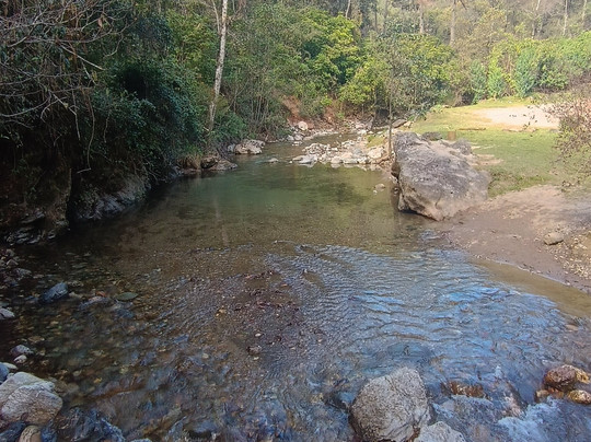 Capulálpam Turismo Ecologico Comunitario-Capulalpam de Mendez必去景点