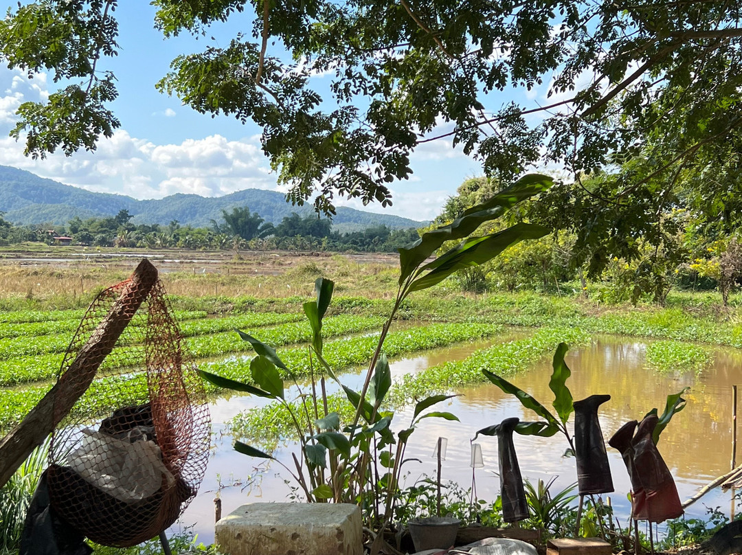 Rico Resort Chiang Kham主图