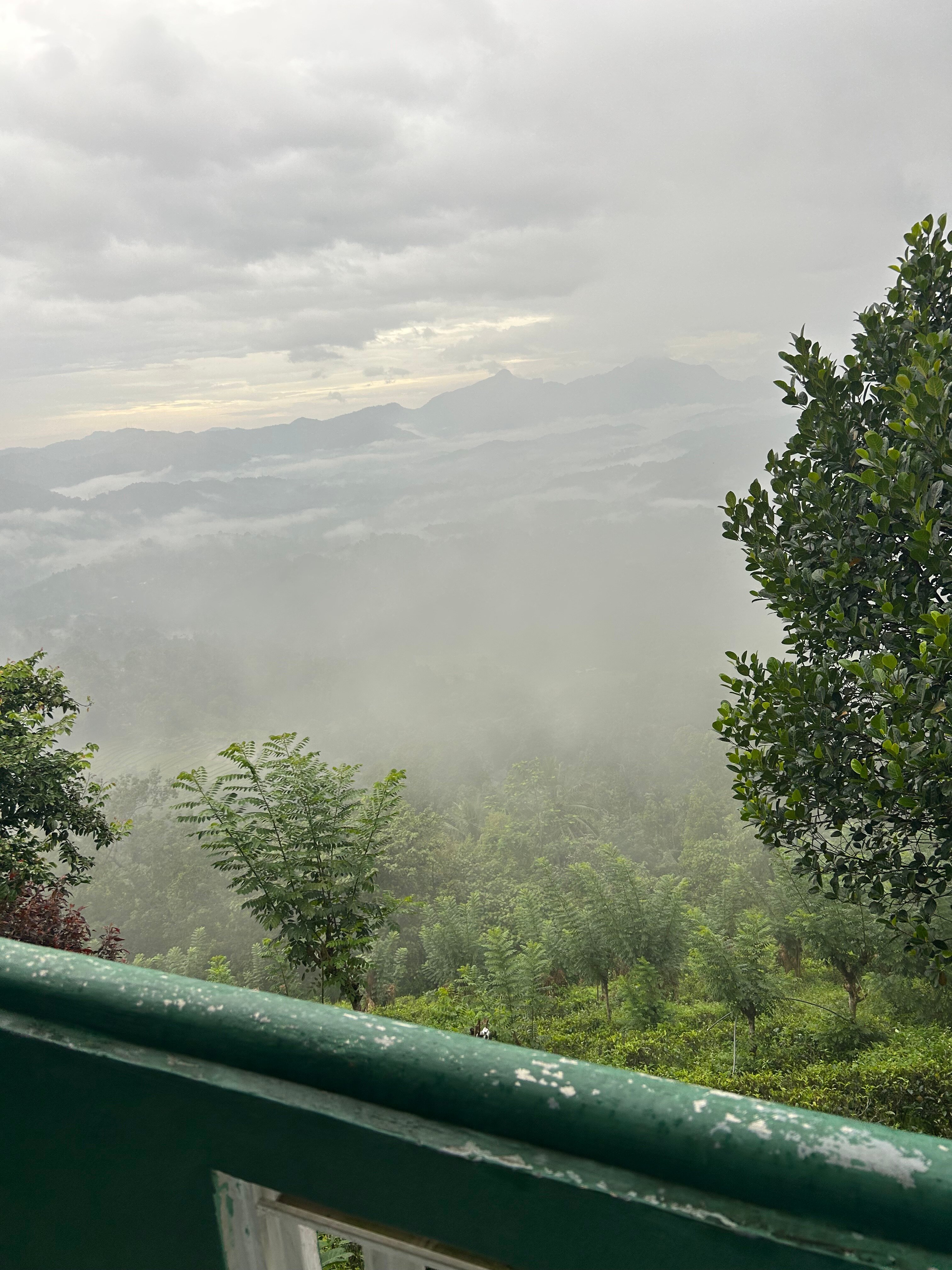 Green View Holiday Resort-官方