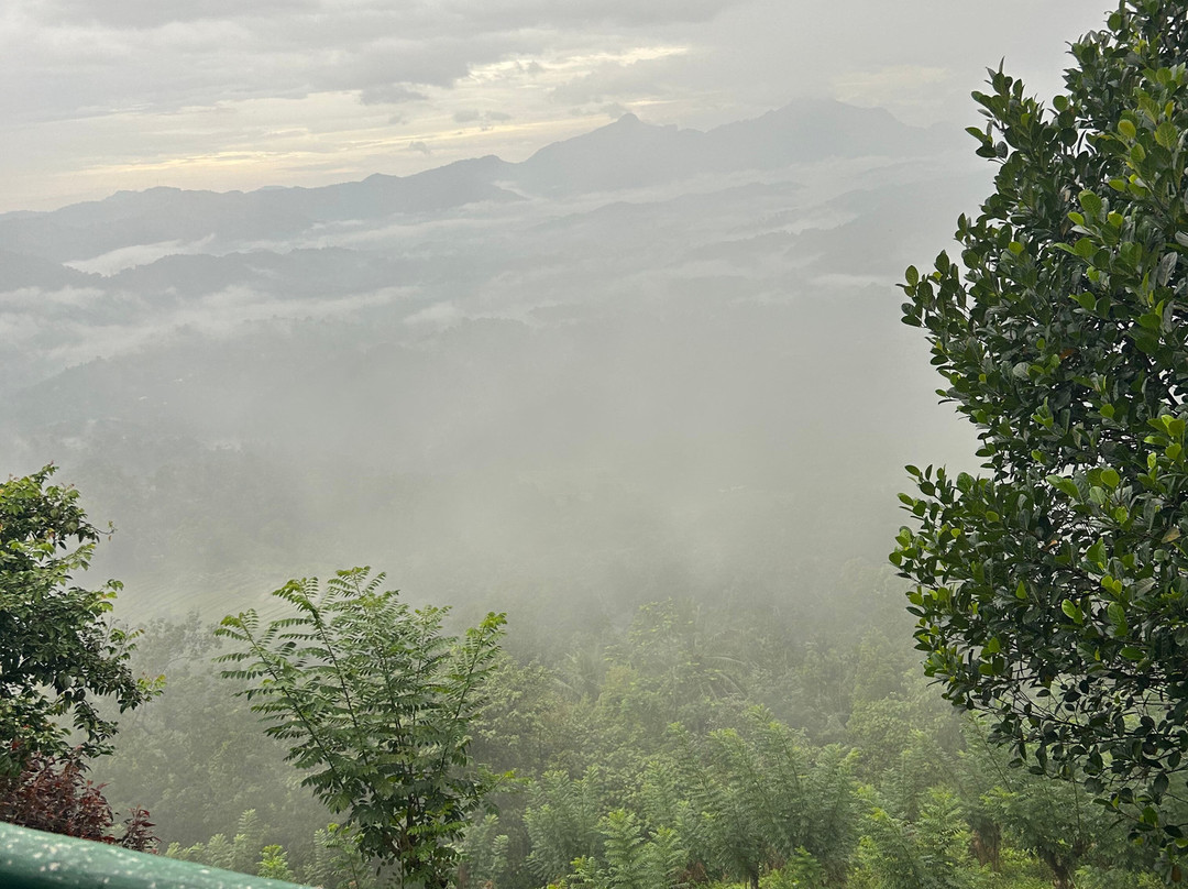 Green View Holiday Resort主图