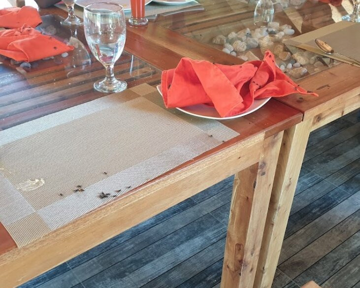 Blue Waves Kite Surfing Beach Resort