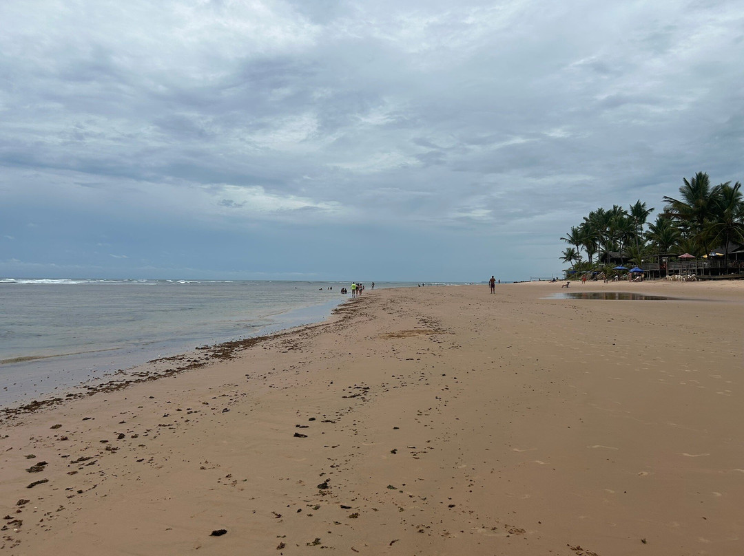 Mucha Playa Algodões