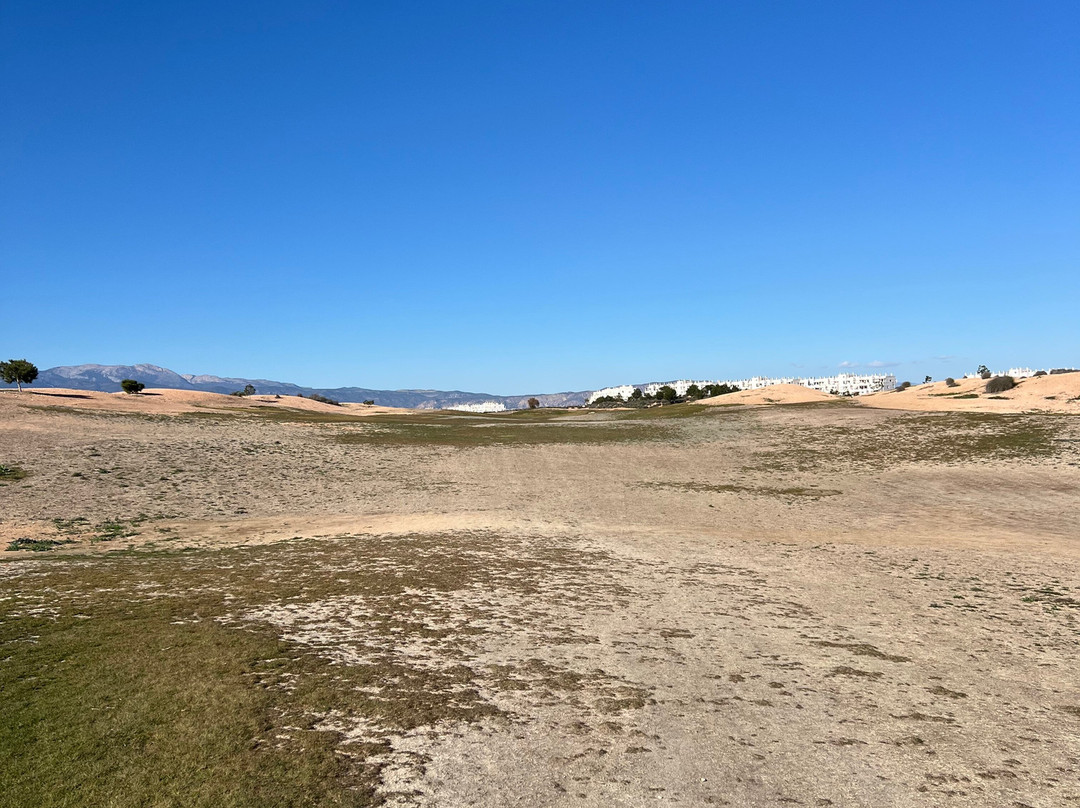 Alhama Signature Golf景点图片