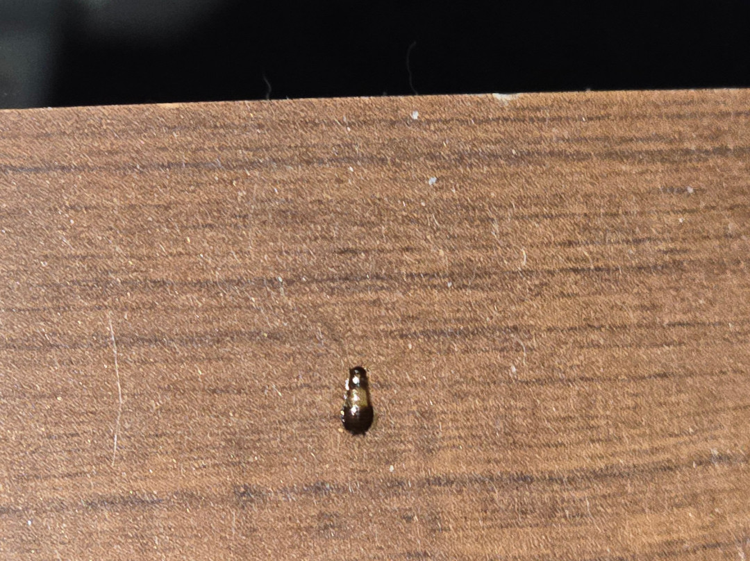 Best Western Parker Inn主图