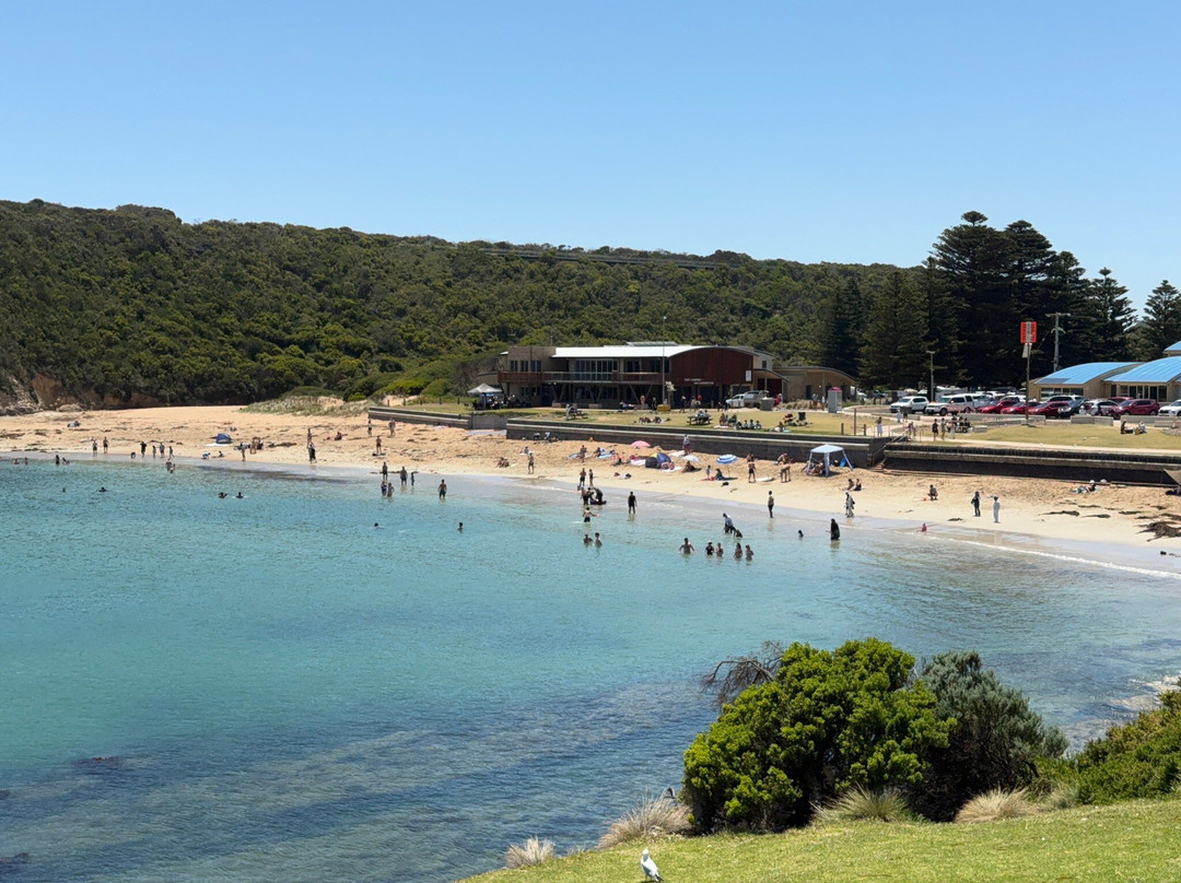 Port Campbell precinct and foreshore-坎贝尔港必去景点