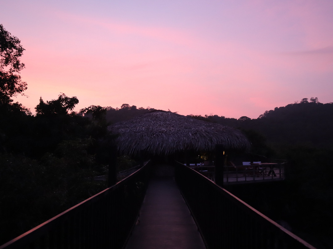 亚勒旅游露营地主图