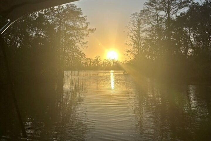 Gulf Coast Eco Tours-Pearlington必去景点