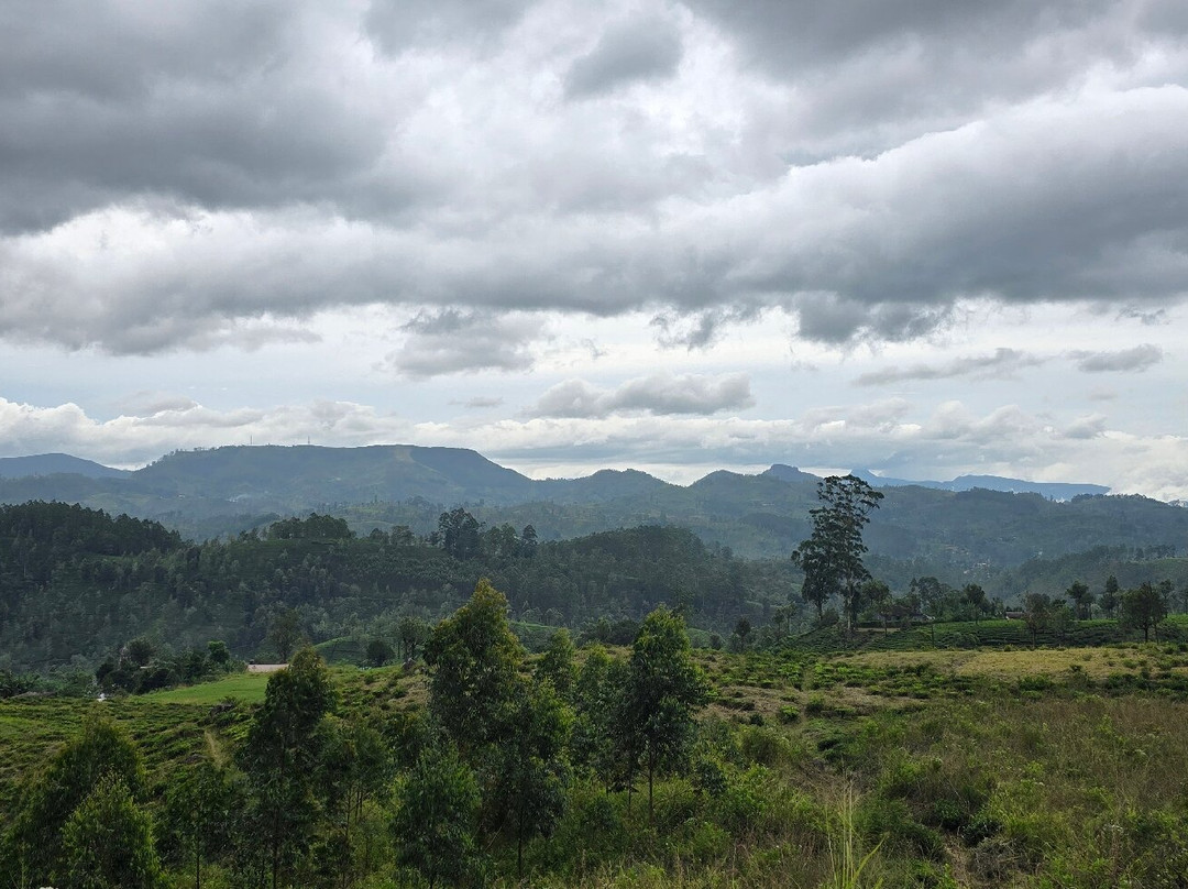 Sri Lanka Railways-哈顿必去景点