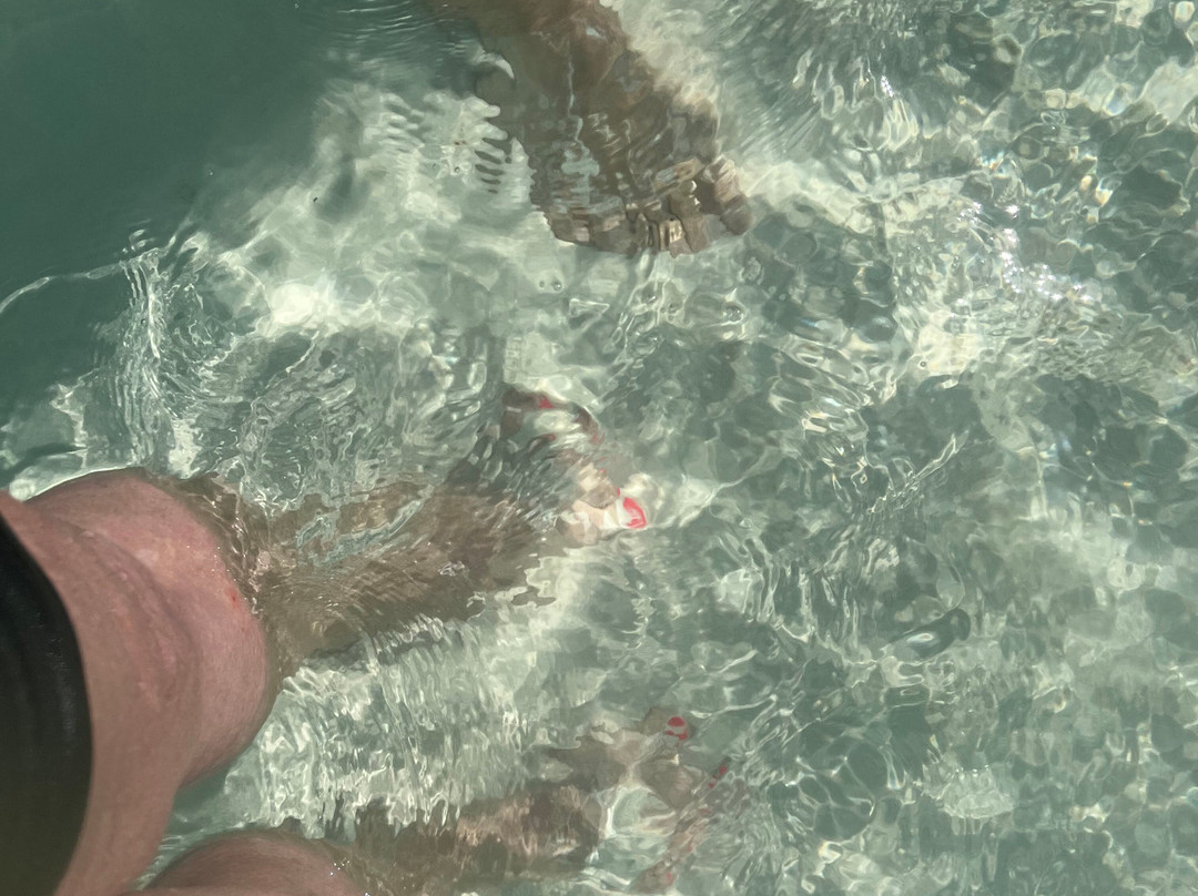 Islamorada Turtle Tours-伊斯拉摩拉达必去景点