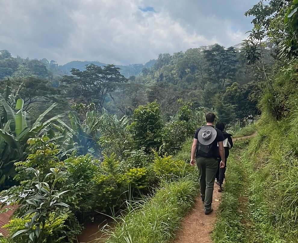 Hill View Garden Hotel主图