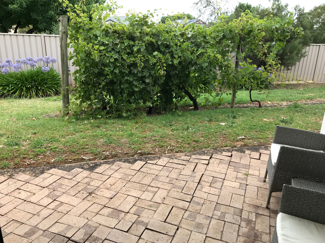 The Wine Vine Hotel主图