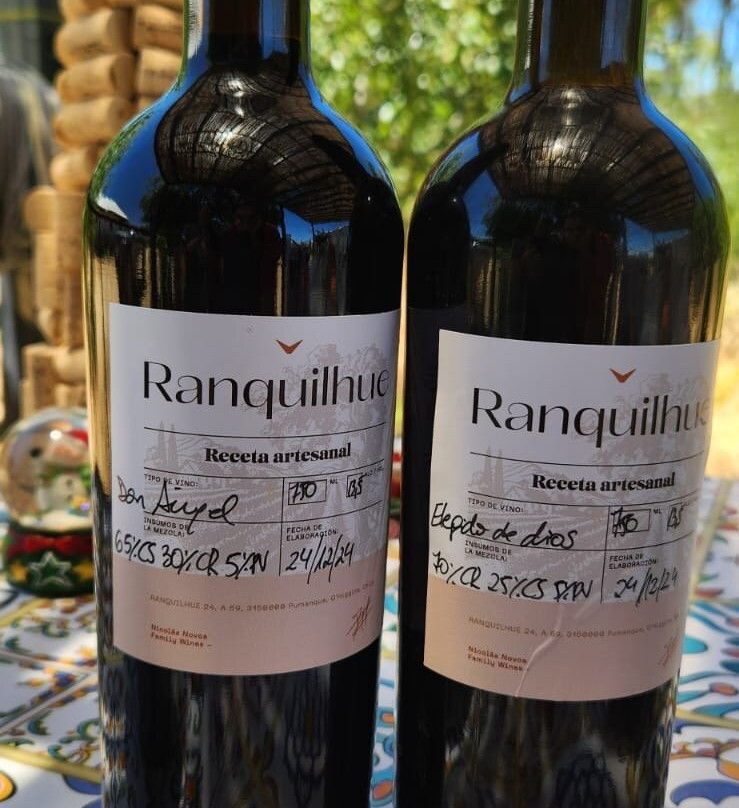 Viña Ranquilhue-Pumanque必去景点