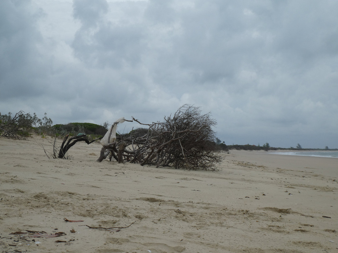 Macaneta Beach景点图片